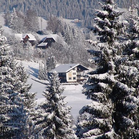 Cozy Apartment In Afritz Am See Near Gerlitzen Ski Area Extérieur photo